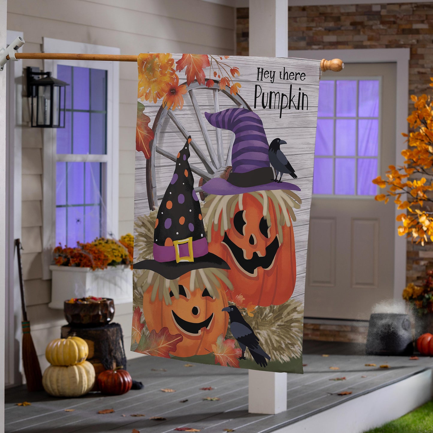 Couple of Jacks Printed Suede House Flag; Polyester 29"x43"