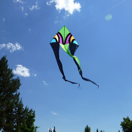 Dashiki Ripstop Nylon Delta Kite with Fiberglass Dowel Frame