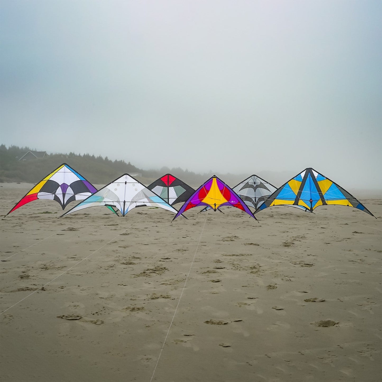 Blue Hornet 1 Dyneema Dual-Line Stunt Kite