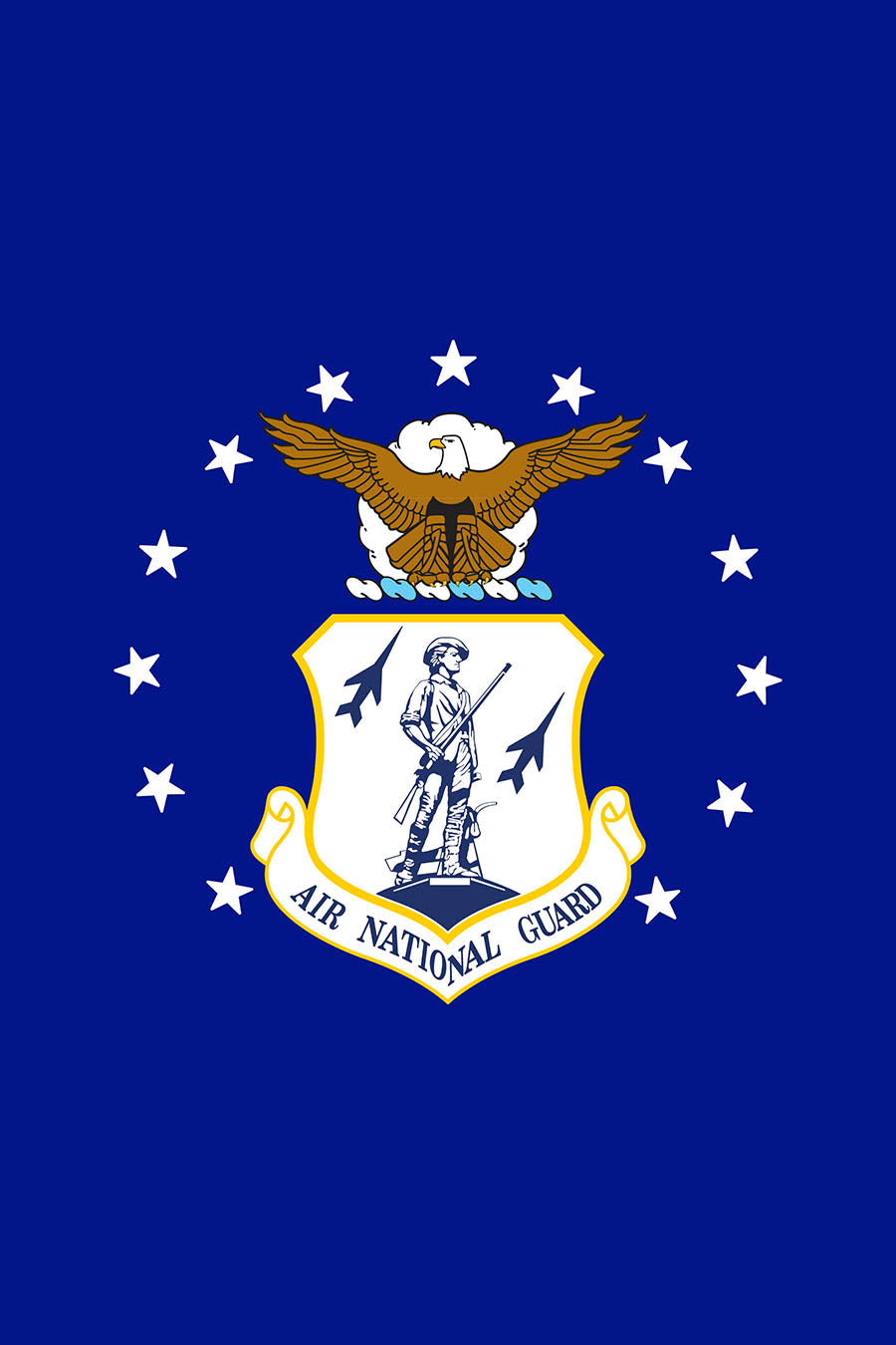 Air National Guard Garden Flag