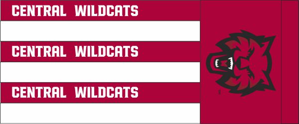 40" Central Washington University Wildcats Printed Polyester Windsock