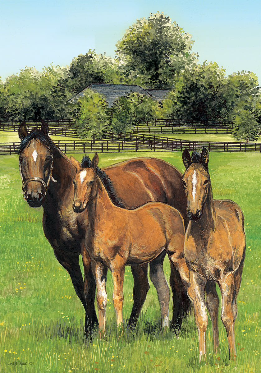 Horse Family Printed House Flag; Polyester