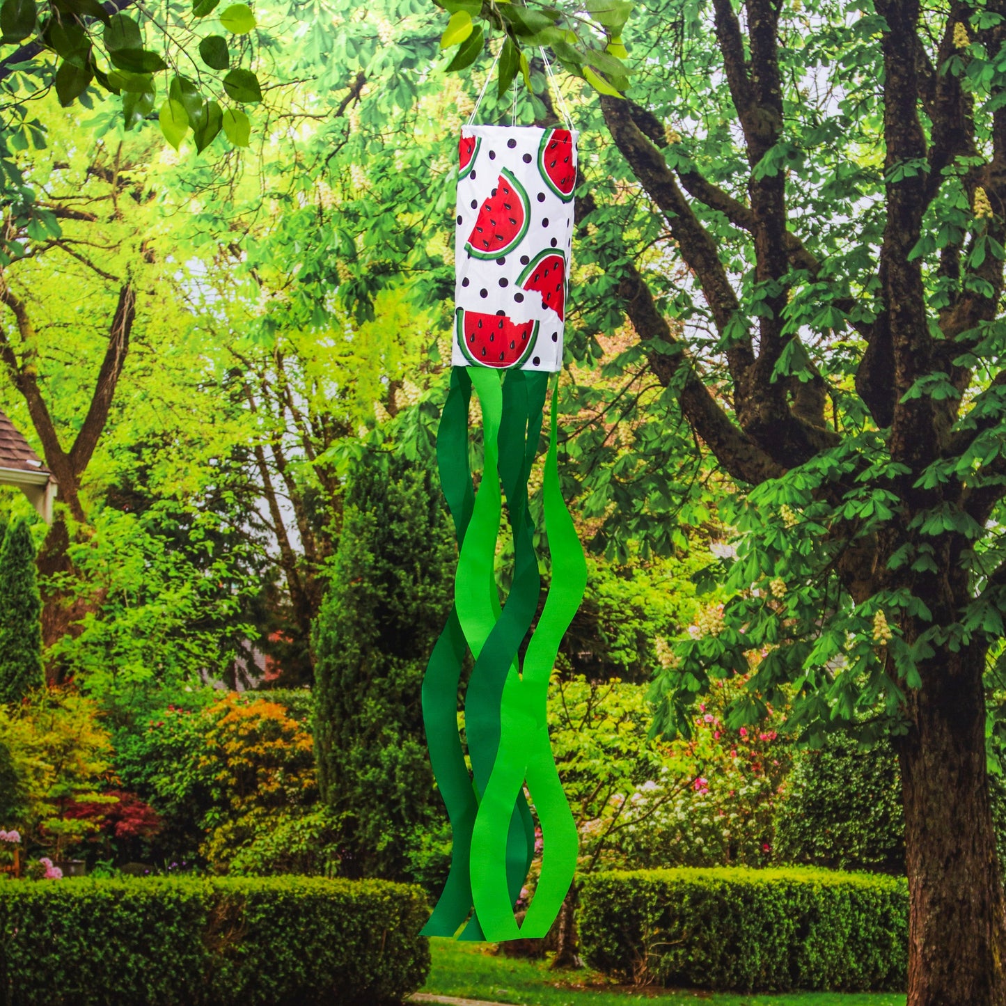 Summer Watermelon Windsock; Polyester 7"ODx38"L