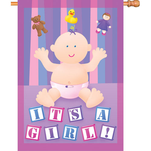 Our New Baby Girl House Flag