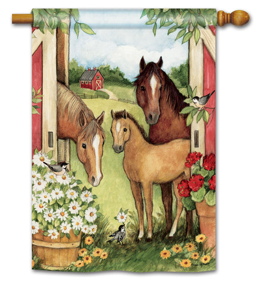 Springtime on the Farm House Flag