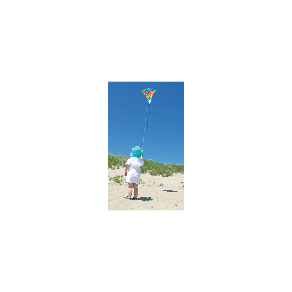 Brilliant Butterfly Diamond Kite