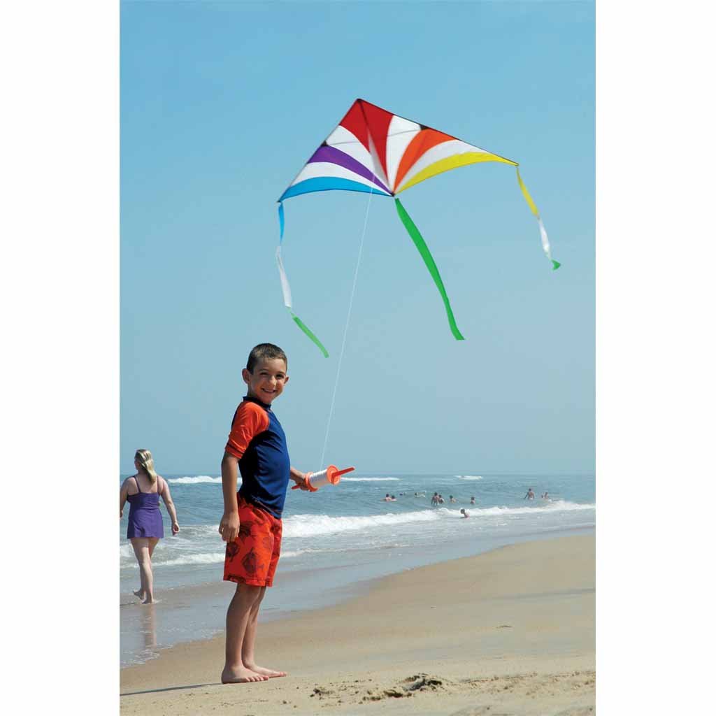 Rainbow Nylon X-Delta Kite with Wing-Tip Tails