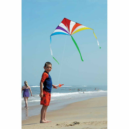 Rainbow Nylon X-Delta Kite with Wing-Tip Tails