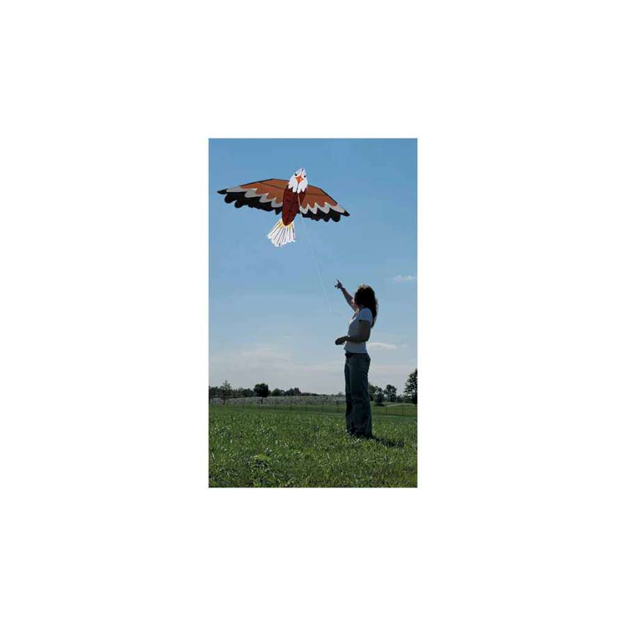 Bald Eagle Bird Kite