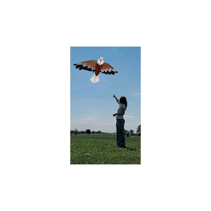 Bald Eagle Bird Kite