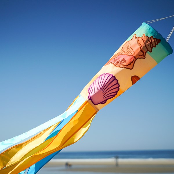 "Seashells" Applique Windsock