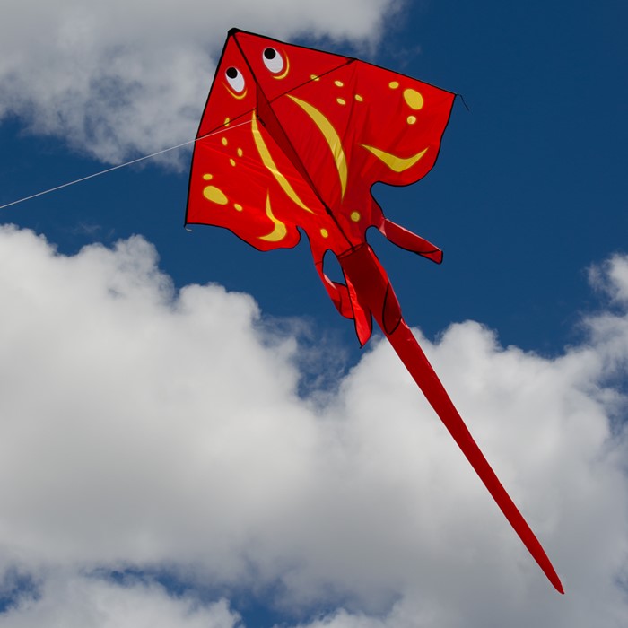 Red Sting Ray Ripstop Nylon Wave Delta Kite