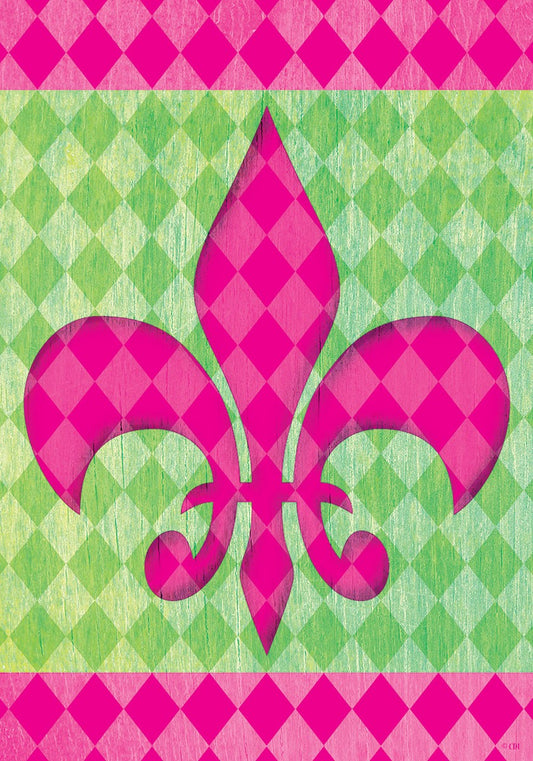 Fleur De Lis Printed Seasonal House Flag; Polyester