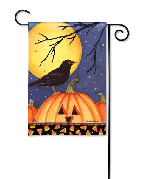 Halloween Crow Printed Seasonal Garden Flag; Polyester