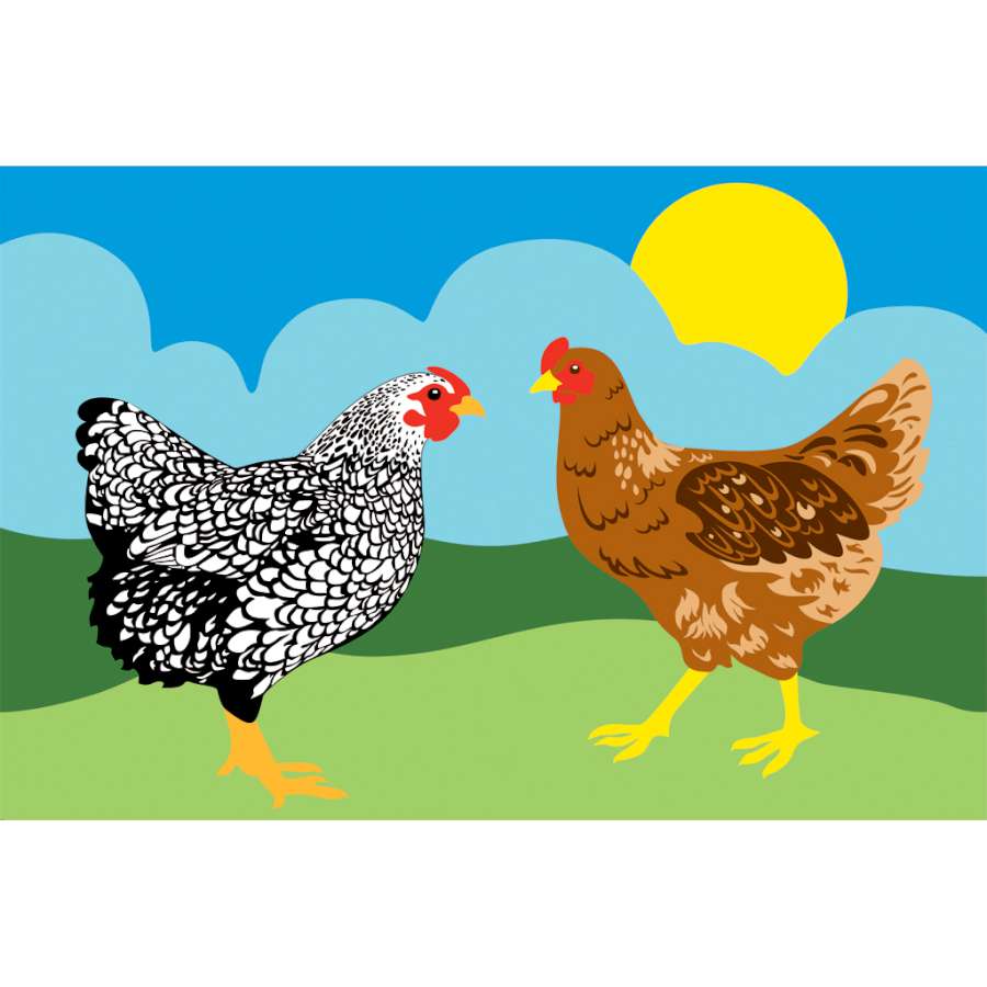 Chickens Windsock; Polyester