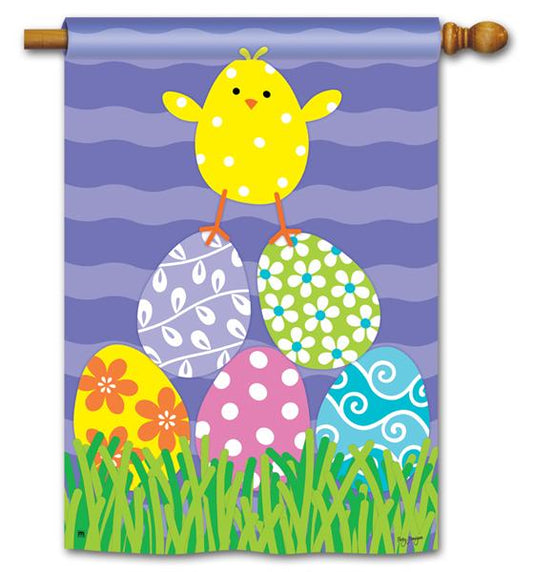 Easter Chicks Rule Printed Seasonal House Flag; Polyester