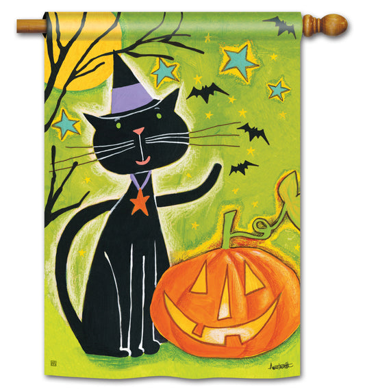 Black Cat Magic House Flag