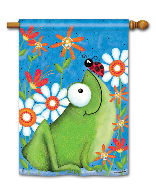 Frog Fun House Flag