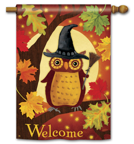 Halloween Owl Double Sided Printed Seasonal House Flag; Polyester