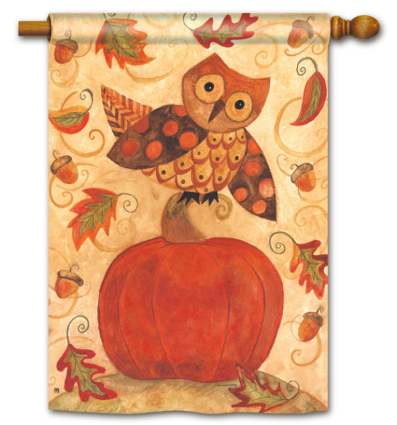 Fall Frolic Printed Seasonal House Flag; Polyester