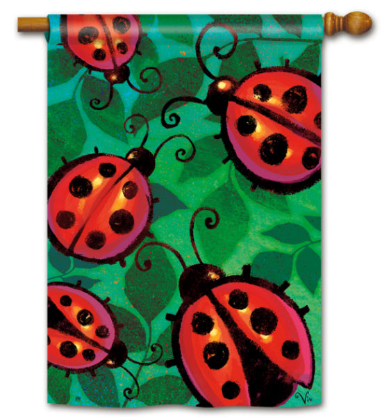 "Ladybug Party" Printed Seasonal House Flag; Polyester